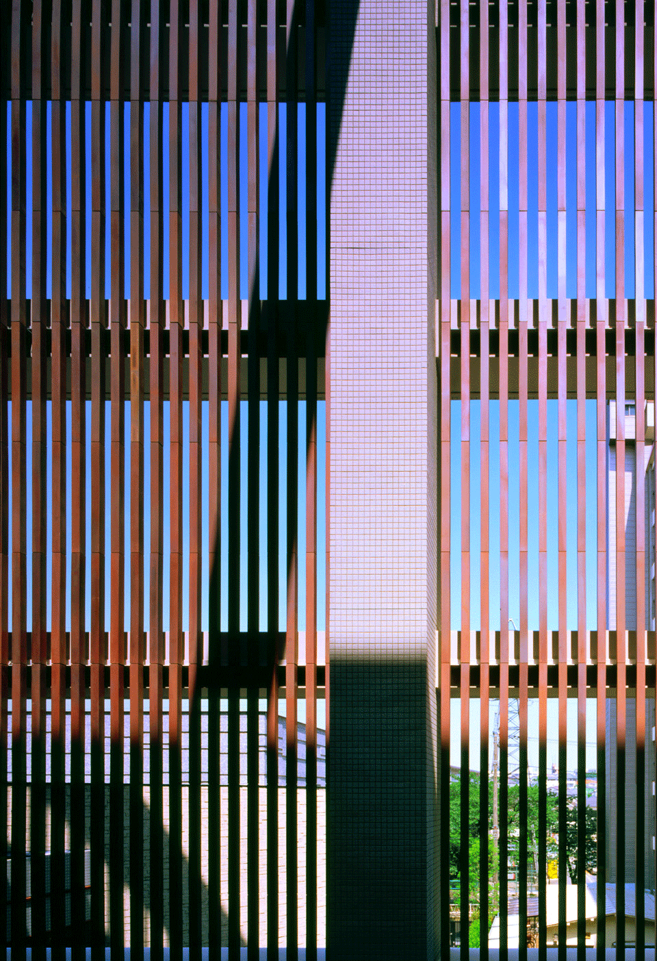 Canon06