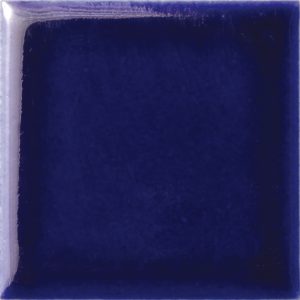 N01V 