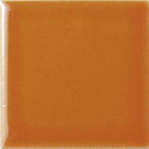 N05V 