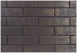 T-SG2 